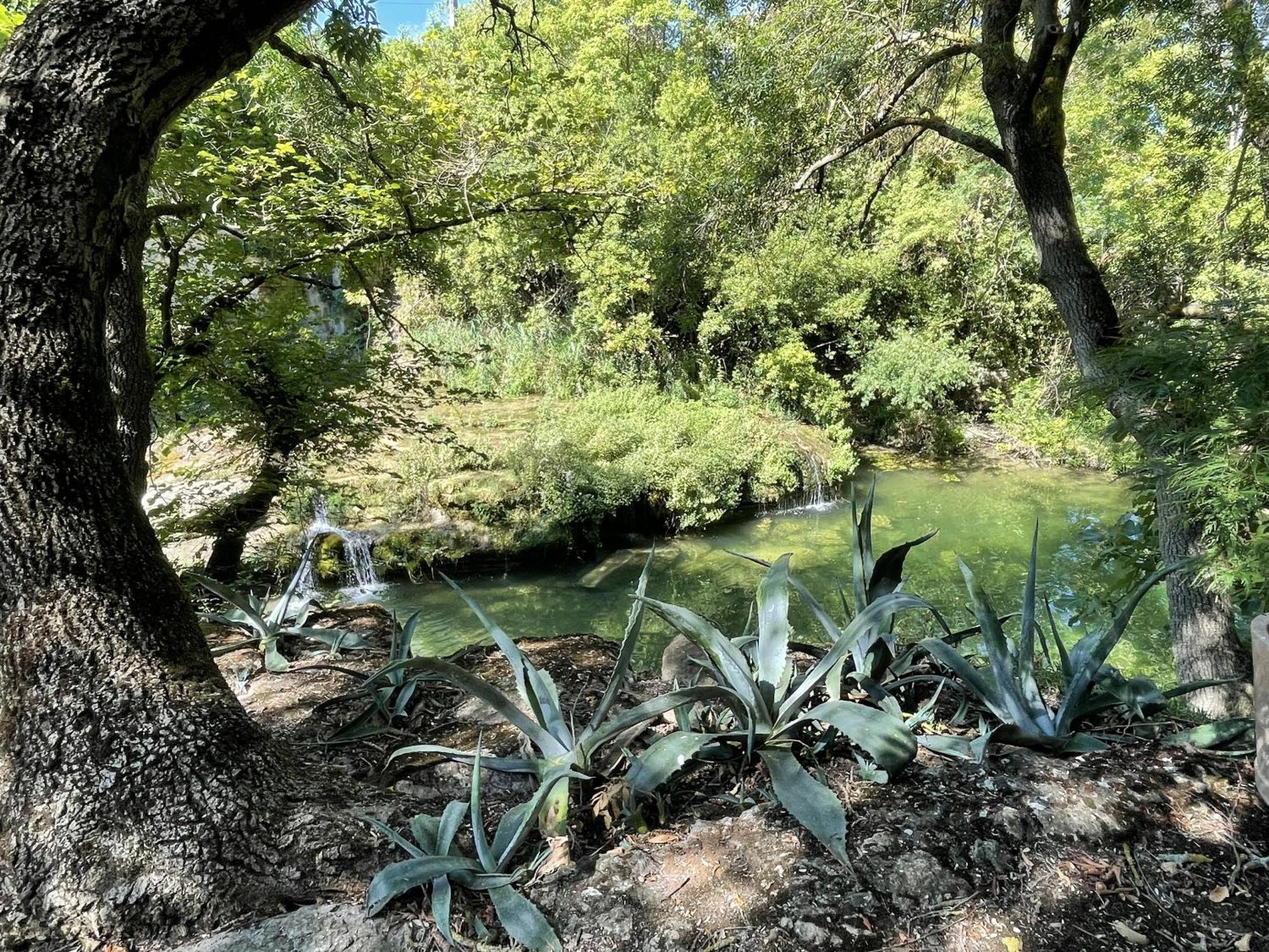 Le Domaine de La Tuilerie - Gite de charme en bord de riviere avec piscine Servies-en-Val Chambre photo